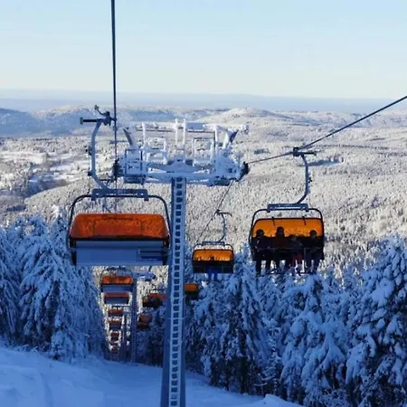 švícárek Apartamento