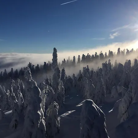 Svicarek * Loučná pod Klínovcem