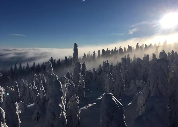 švícárek * Loučná pod Klínovcem